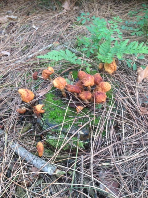 Waarvan raak jij opgebrand?